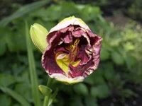 _1013442 изм..webp
