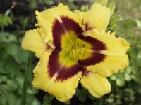 _1013452 изм..webp