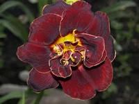 _1013457 изм.webp