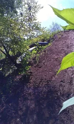 4 (1).webp