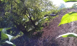 6 (2).webp