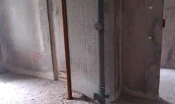 IMAG0184.webp