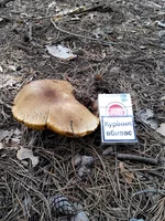 2014708141653.jpg