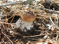 DSCN5751.jpg