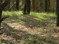DSCN5756.jpg