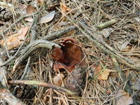 DSCN5766.jpg