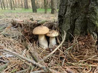 DSCN5776.jpg