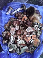 IMG_20140711_152413.webp