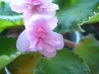 IMG_6144.webp
