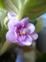 IMG_6162.webp