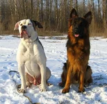 CIMG7027_новый размер.webp