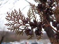 rP1100418.webp rP1100418.webp