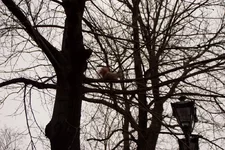 IMG_1498_новый размер.webp