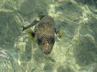foto 298.webp