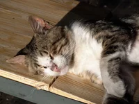 rP1030922.webp rP1030922.webp