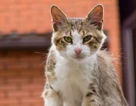 rP1030875.webp rP1030875.webp