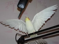  этот обект явно меньше меня.webp