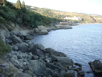 DSC00943.webp