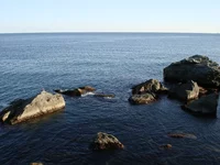 DSC00934.webp