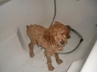  в ванной.webp