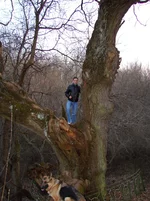 DSC03574.jpg