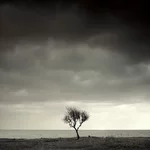 09--03_5.webp