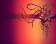 wallpaperflower.jpg