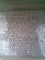 .webp
