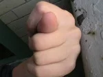 ddddi.webp