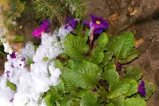 DSC00175.webp