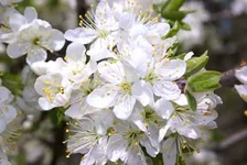 DSC08453.webp