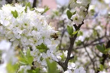 DSC08454.webp