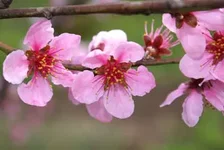 DSC08570.webp