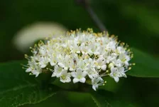 DSC08690.webp