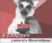 0420-300-4.webp