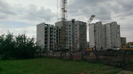 IMAG0396.jpg