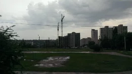 IMAG0395.webp