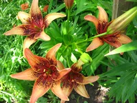 IMG_3586.webp