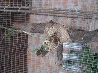 IMG_2224.webp