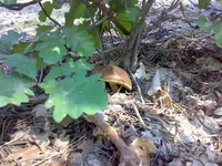 11072014781.webp