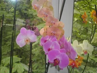 P1010041.jpg