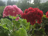 IMG_8055.webp
