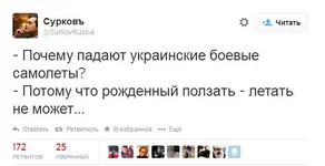 сукасурков.JPG