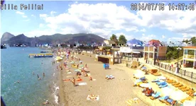 sudak.webp