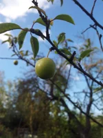 20140715_200225.webp