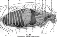 tmp1020-51.webp
