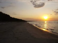 HPIM1699.webp