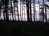 HPIM1768.webp