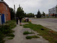 IMG_20140718_085425.webp