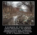 QKsdyzFgfvo.webp